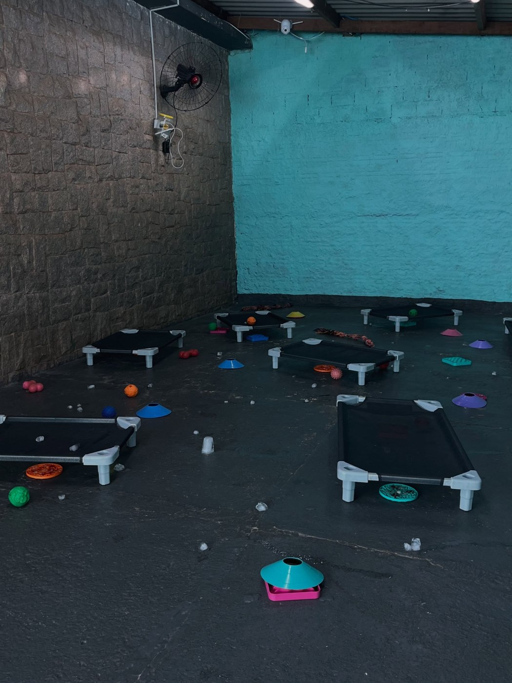 Espaço coberto da Toshi Pet preparado com brinquedos e atividades.